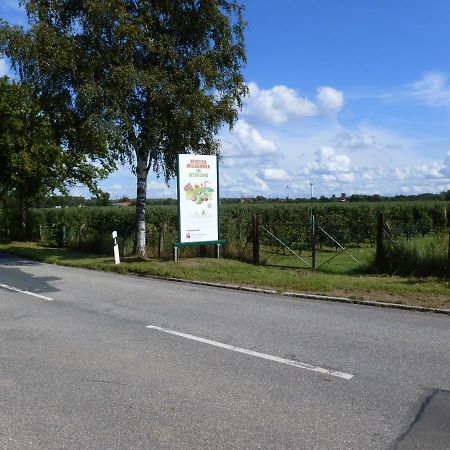 Fewo Im Alten Land Hamburg Kültér fotó